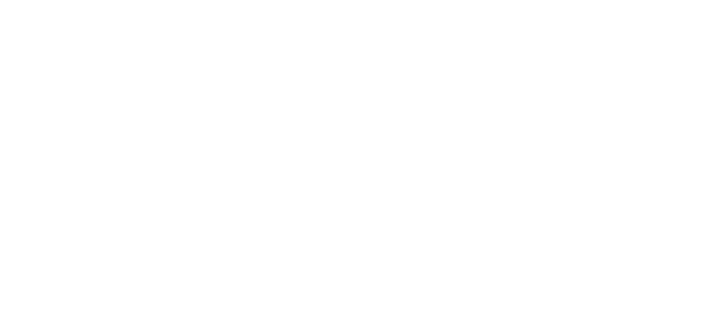 Logo Lisa Lelli_Aquattro