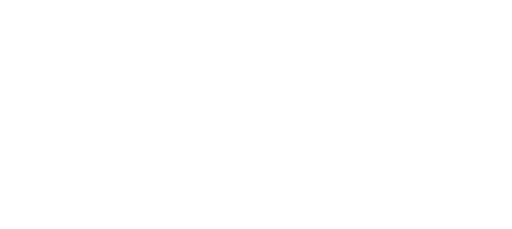 Logo Netium
