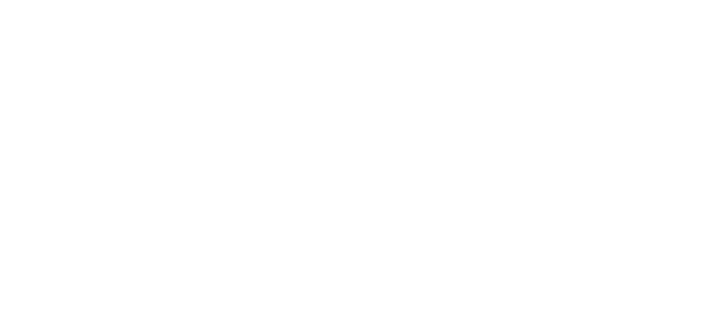 Logo Nexo+