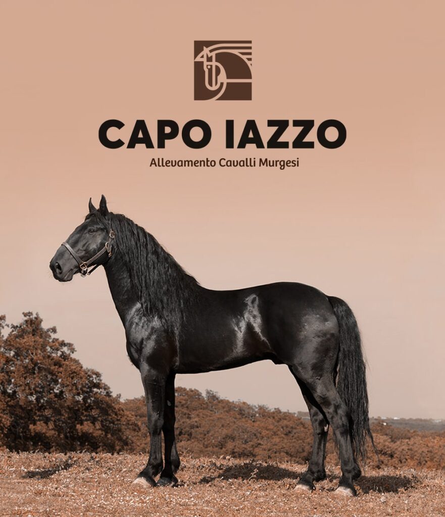Masseria Capo Iazzo_Servizi per Clienti_Aquattro Marketing